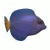 Big Kahuna Reef