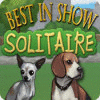 Best in Show Solitaire 游戏