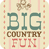 Big Country Fun 游戏