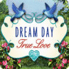 Dream Day True Love 游戏
