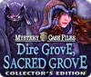 Mystery Case Files: Dire Grove, Sacred Grove Collector's Edition 游戏