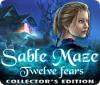 Sable Maze: Twelve Fears Collector's Edition 游戏