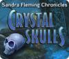 Sandra Fleming Chronicles: The Crystal Skulls 游戏