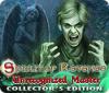 Spirit of Revenge: Unrecognized Master Collector's Edition 游戏