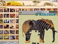 免费下载屏幕 Animals of Africa 2