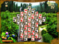 免费下载屏幕 Card Tricks 1