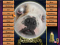 免费下载屏幕 Lost Fortunes 2