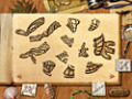 免费下载屏幕 Paradise Quest 2