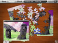 Free download Penny Puzzle screenshot