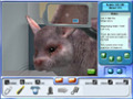 免费下载屏幕 Pet Pals: New Leash on Life 1