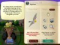 免费下载屏幕 Snapshot Adventures: Secret of Bird Island 2