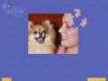 免费下载屏幕 Super Jigsaw Puppies 1