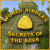 World Riddles: Secrets of the Ages 游戏