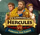 12 Labours of Hercules VII: Fleecing the Fleece 游戏