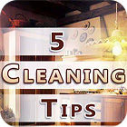 Five Cleaning Tips 游戏