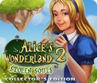 Alice's Wonderland 2: Stolen Souls Collector's Edition 游戏