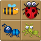 Bug Box 游戏