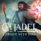 Citadel: Forged with Fire 游戏