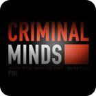 Criminal Minds 游戏