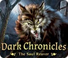 Dark Chronicles: The Soul Reaver 游戏