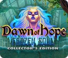 Dawn of Hope: The Frozen Soul Collector's Edition 游戏