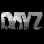 DayZ 游戏