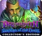 Dreampath: Guardian of the Forest Collector's Edition 游戏