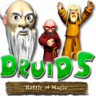 Druid's Battle of Magic 游戏