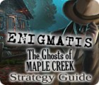 Enigmatis: The Ghosts of Maple Creek Strategy Guide 游戏