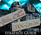 Hidden in Time: Looking-glass Lane Strategy Guide 游戏