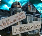 Hidden in Time: Looking-glass Lane 游戏