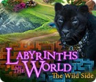 Labyrinths of the World: The Wild Side 游戏