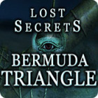 Lost Secrets: Bermuda Triangle 游戏