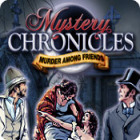 Mystery Chronicles: Murder Among Friends 游戏