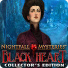 Nightfall Mysteries: Black Heart Collector's Edition 游戏