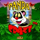Panda Craze 游戏
