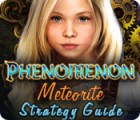 Phenomenon: Meteorite Strategy Guide 游戏