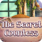 The Secret Countess 游戏
