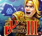 Viking Brothers 3 游戏