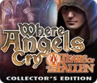 Where Angels Cry: Tears of the Fallen. Collector's Edition 游戏