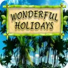 Wonderful Holidays 游戏