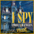 I Spy: Spooky Mansion 游戏