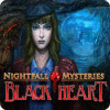 Nightfall Mysteries: Black Heart 游戏