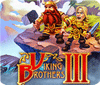 Viking Brothers 3 Collector's Edition game