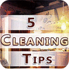 Five Cleaning Tips 游戏