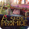 A Secret Promise 游戏