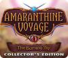 Amaranthine Voyage: The Burning Sky Collector's Edition 游戏