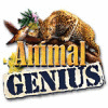Animal Genius 游戏