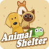 Animal Shelter 游戏