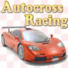 Autocross Racing 游戏